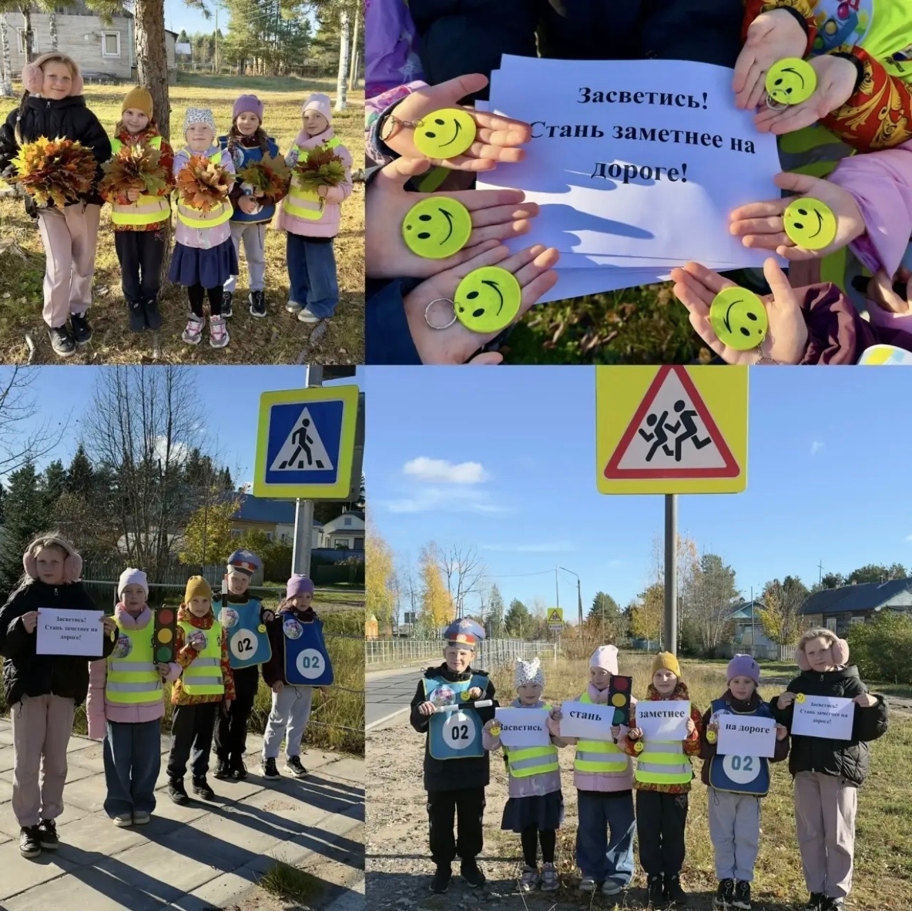 «#ЗасветисьКрасиво29: Виноградовский округ выбирает безопасность!»
